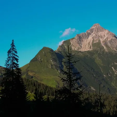Alpenappartement Bergkoenig شقة Warth (Vorarlberg)